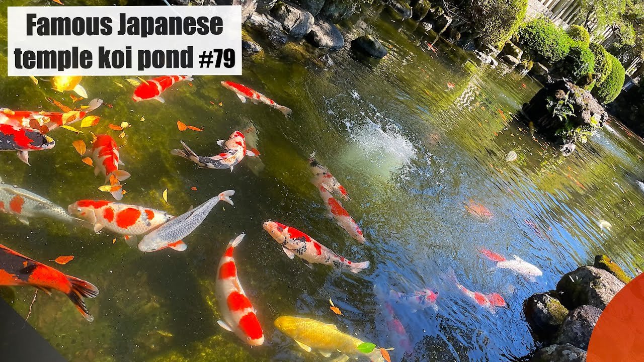 ⛩️ 쿤테키 신사(쿤테키 진자) 이미지 11